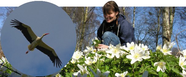 naturen netop nu naturen netop nu