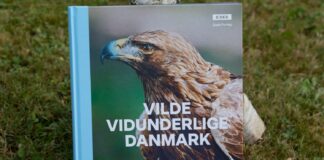 Vilde vidunderlige Danmark
