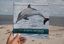 Boganmeldelse: Luca en delfin i Limfjorden