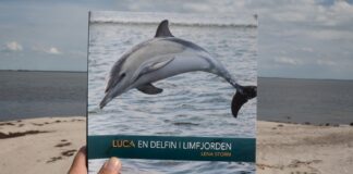 Boganmeldelse: Luca en delfin i Limfjorden