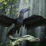 Archaeopteryx - fra dinosaur til fugl