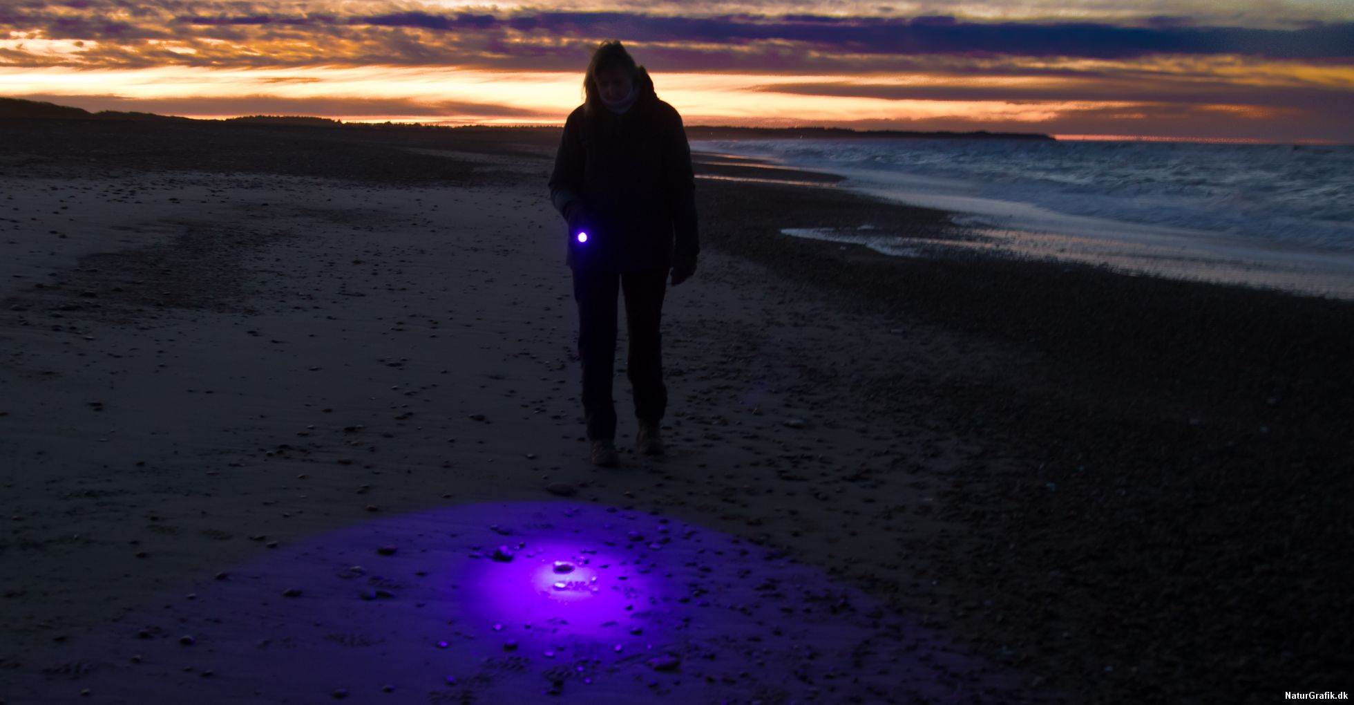 Melting Menagerry opdagelse Find rav med UV-lys - NaturGuide.dk - natur og friluftsliv