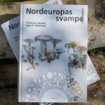 Boganmeldelse: Nordeuropas svampe