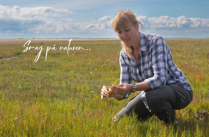 Naturoplevelser og gode historier fra naturens verden