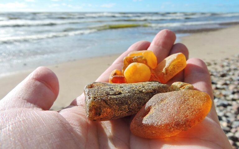 Lær at finde rav - Naturmagasinet NaturGuide.dk