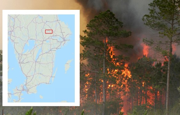 Skovbranden i Västerås i Västmanland er den største skovbrand i Skandinavien i nyere tid. Foto: Wikipedia, Mark Wolfe. 