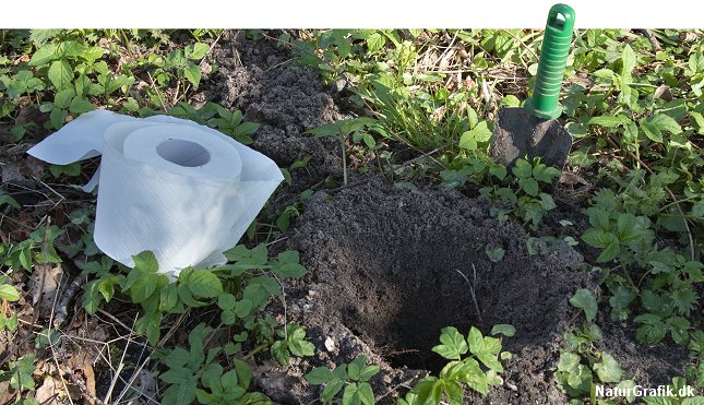 Grav et hul på mindst 25 cm. Det skal også rumme toiletpapiret! Dæk til efter brug!