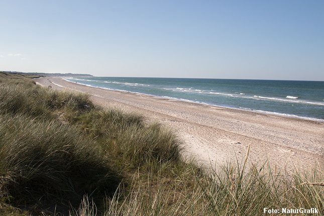 I følge en undersøgelse fra VisitDenmark ligger strand og kyst helt i top når turister spørges hvorfor de kommer til Danmark.