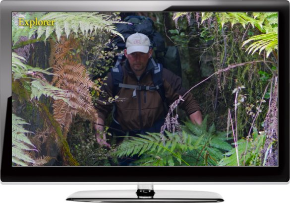 Overlevelse på tv. Gennem regnskoven på naturens præmisser. Foto: Thomas Nissen/NaturGrafik.