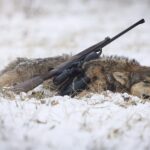 Danske ulve forsvinder