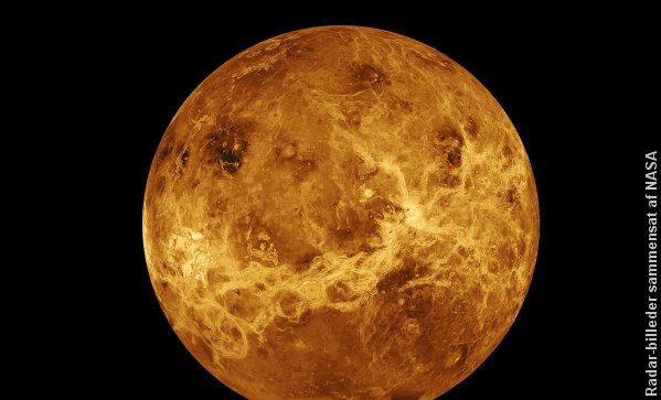 Billede af Venus dannet ud fra radarbilleder. Kilde: NASA.