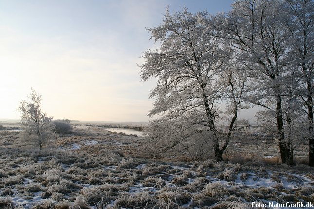 vinter_land